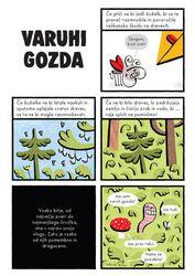 T e D n i (K) Občine 12.08.2019 8